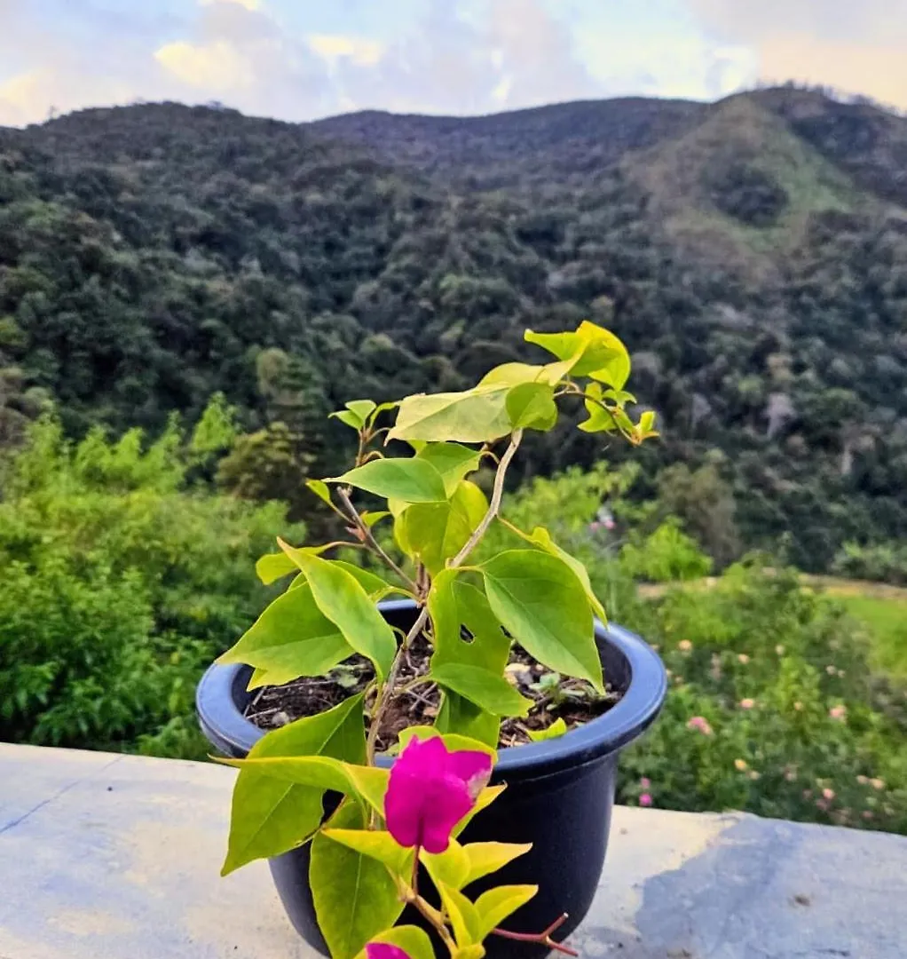 Meena Ella Bungalow Nuwara Eliya