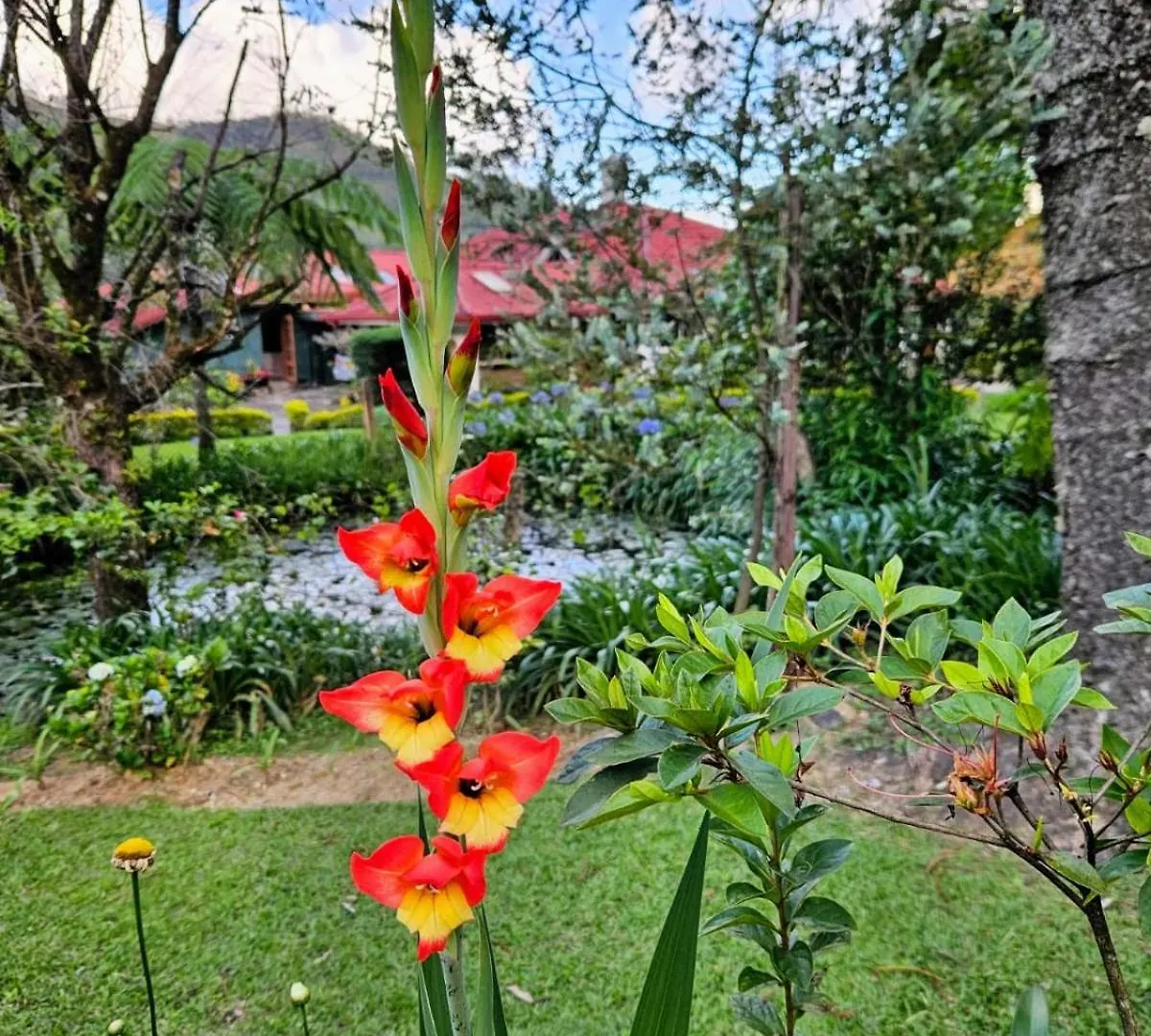 Meena Ella Bungalow Nuwara Eliya