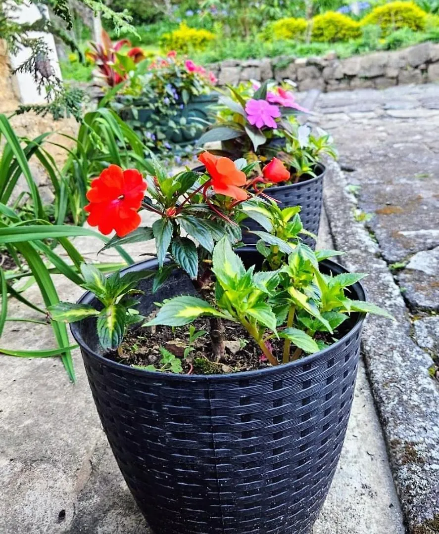 Meena Ella Bungalow Nuwara Eliya Holiday home
