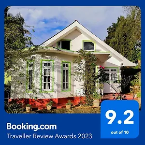  Проживание в семье Mountain View
